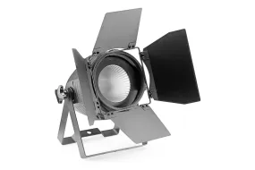 Stagg King PAR 60 with 1 x 60-watt RGB COB LED Spotlight